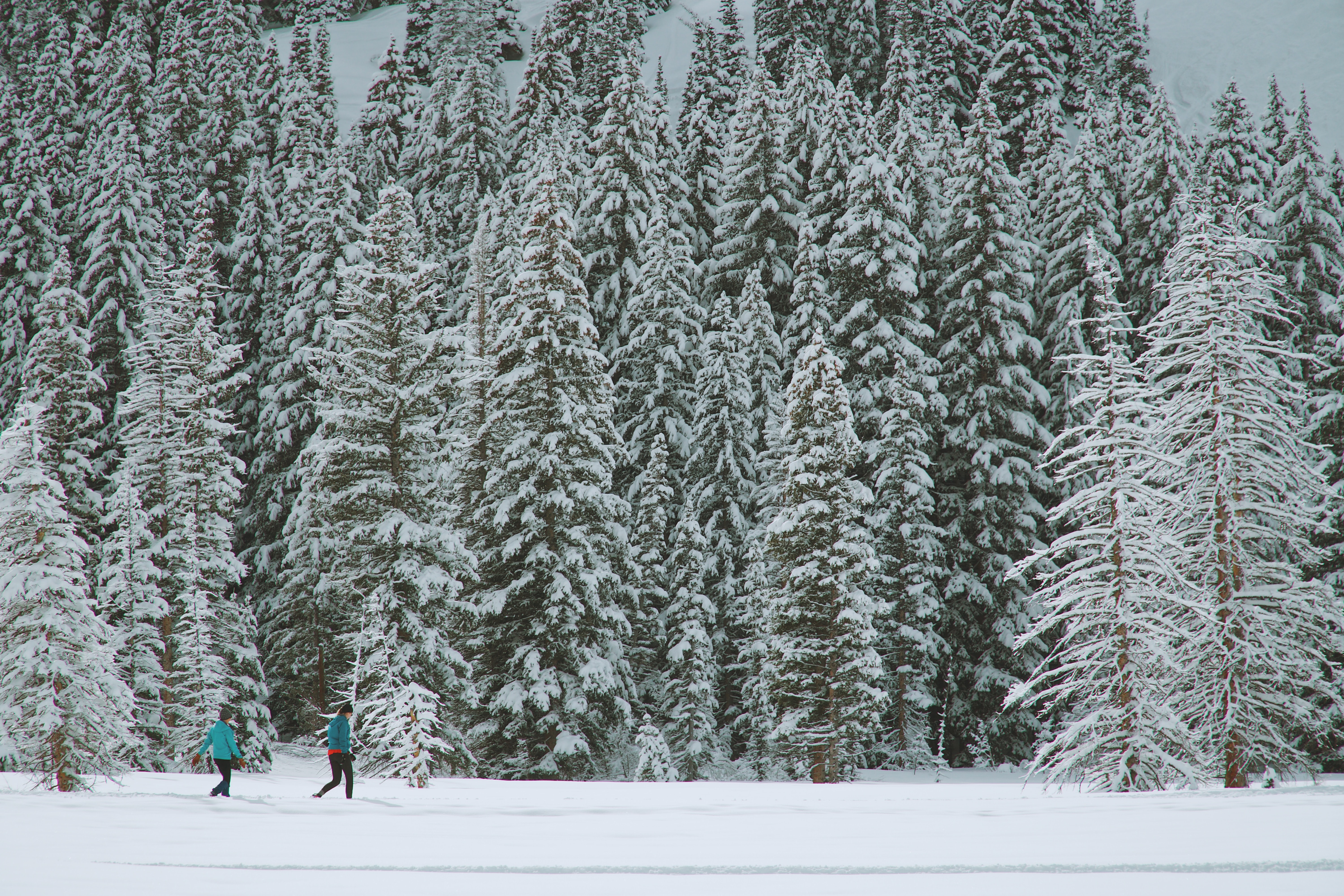 The best canyons in Salt Lake City for winter recreation
