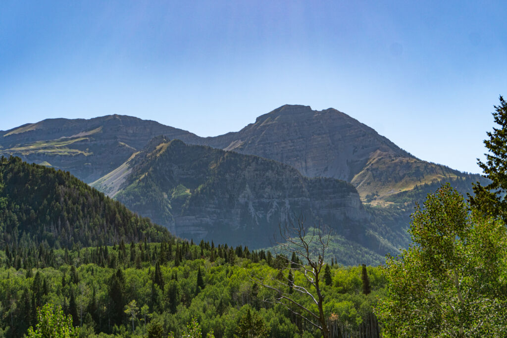 North timpanogos summer, American fork canyon