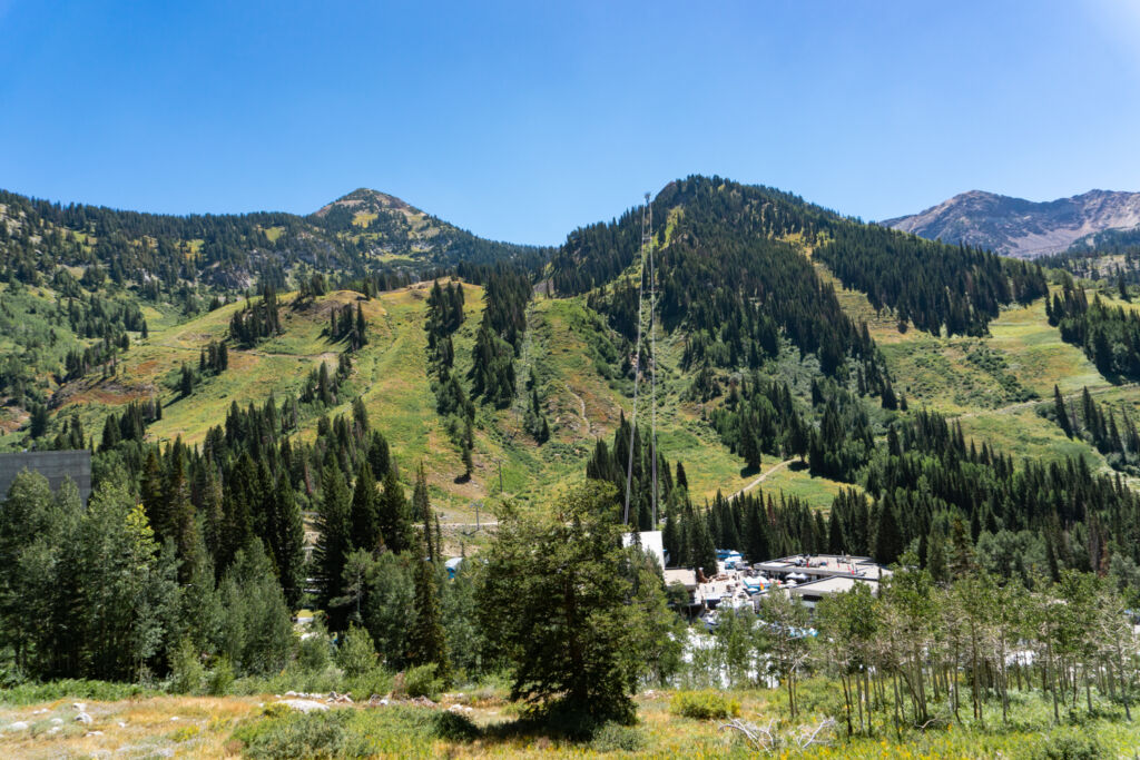 Snowbird summer view