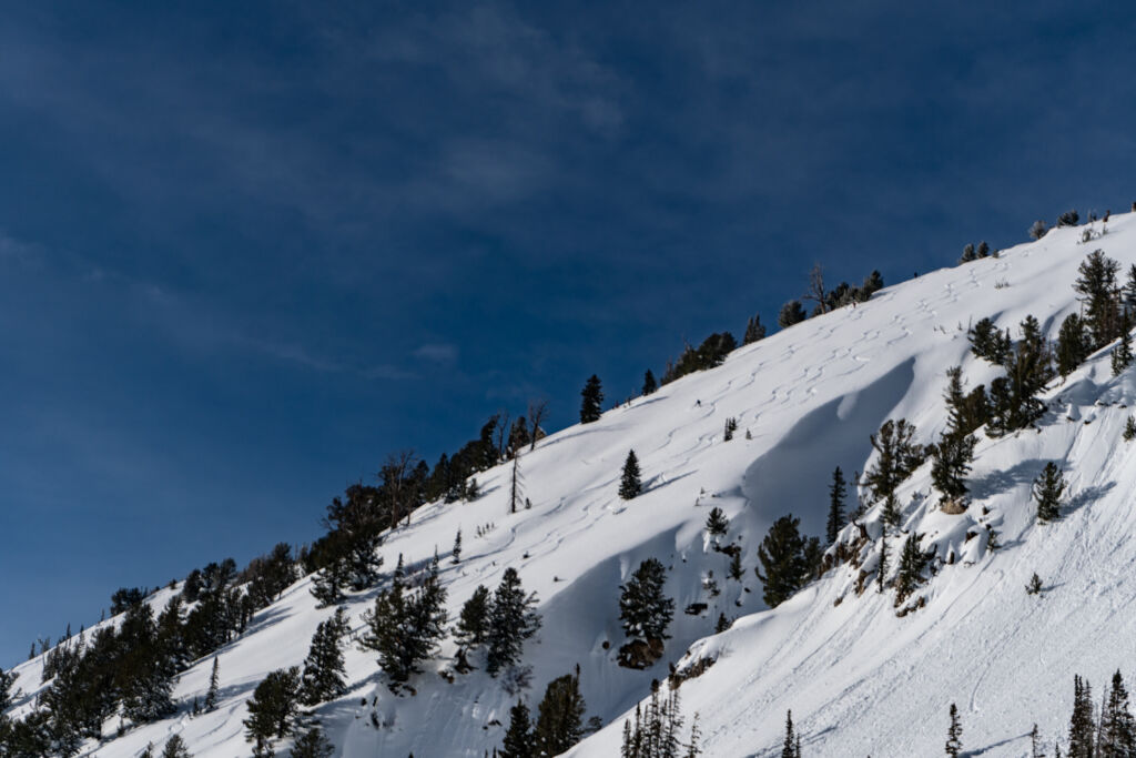 Backcountry skiing in Grizzly Gulch Salt Lake City