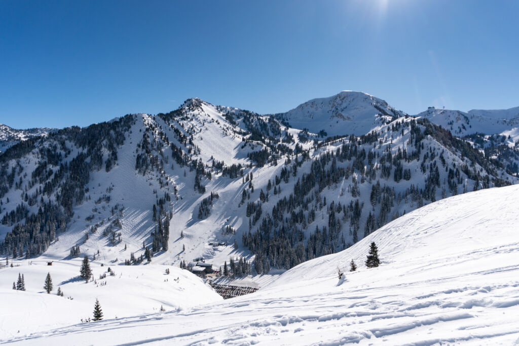 Collins Gulch Alta Utah Little Cottonwood Canyon Utah Skiing